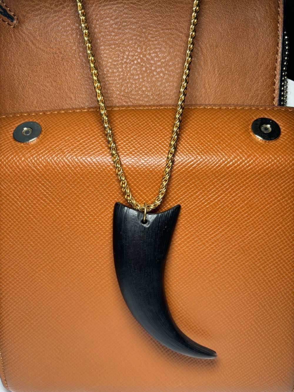 Alexis Bittar lucite horn pendant